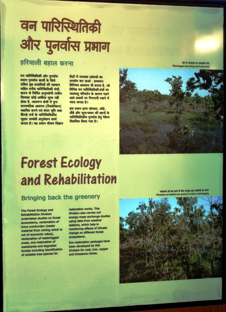 Forest Ecology and Rehabilitation